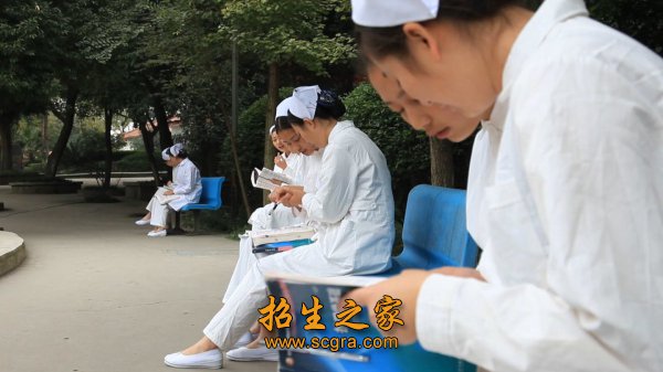 校园休憩 校园休憩